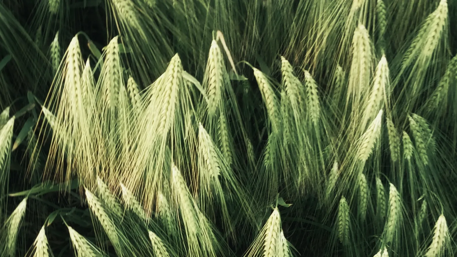 Project No. 230130-808377 image