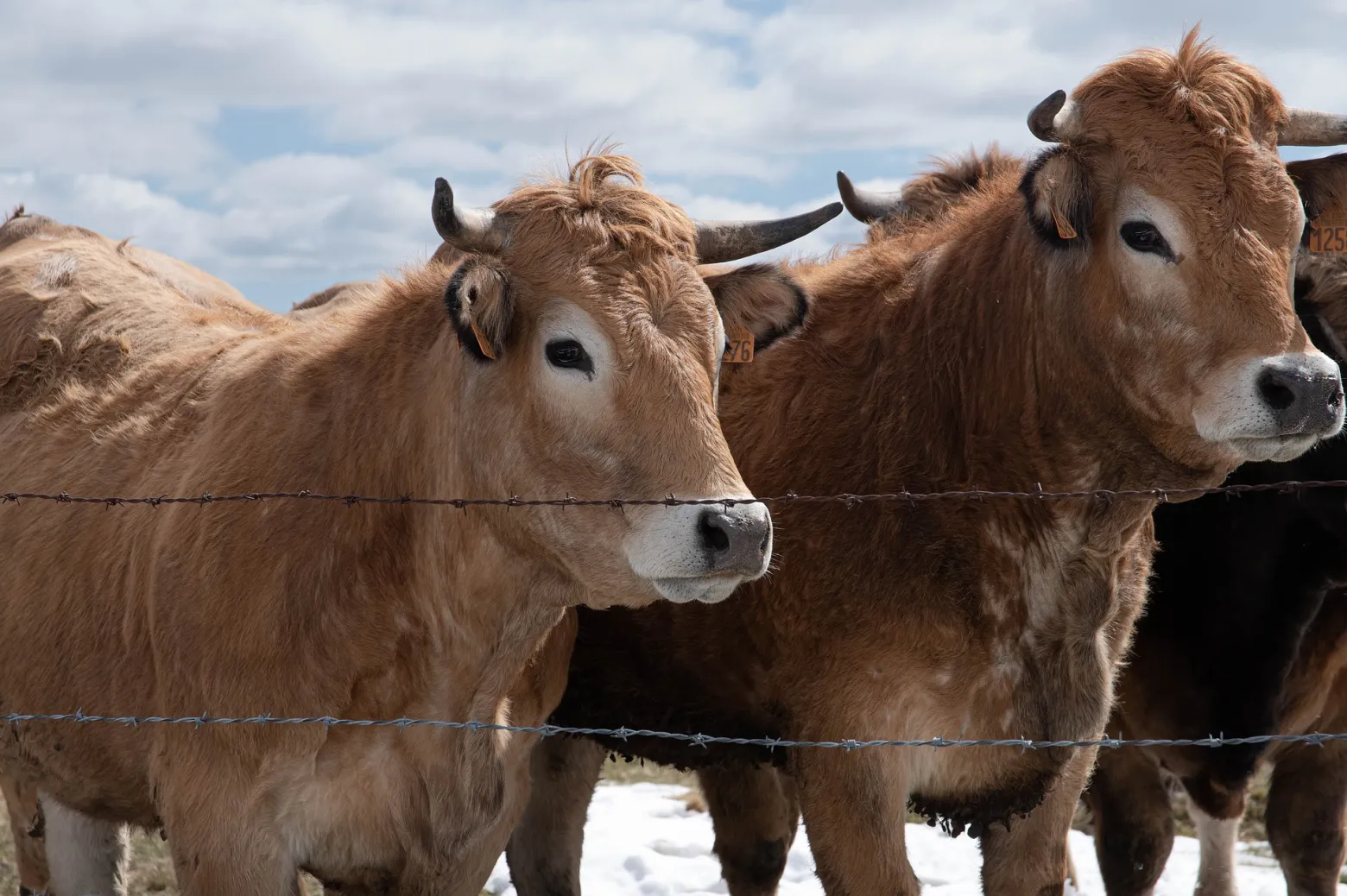 Project No. 230215-131773 image